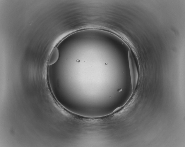 X0000115820862200911131443