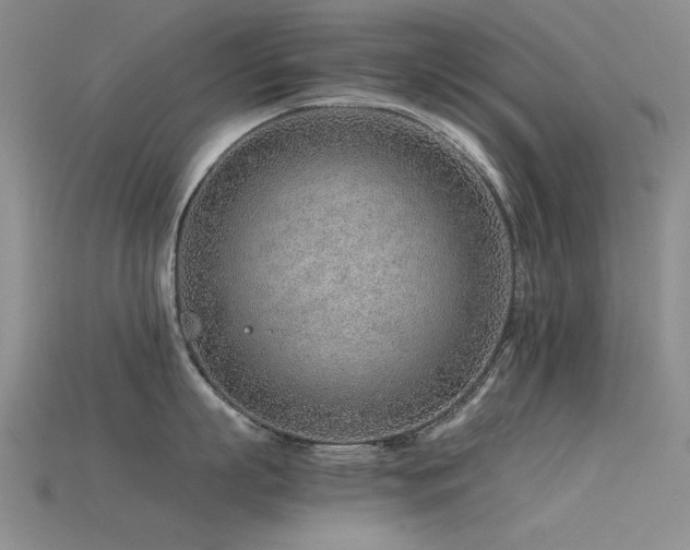 X0000115820863200911131443