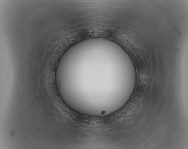 X0000115820865200911131442