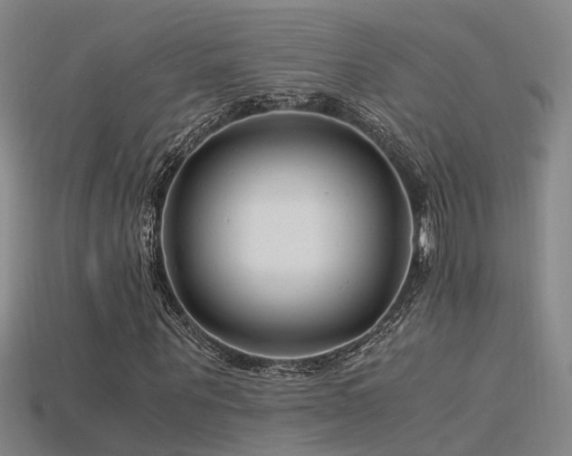 X0000115820867200911131442