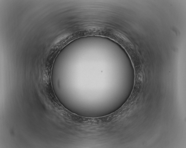 X0000115820869200911131442