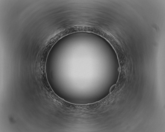 X0000115820870200911131442