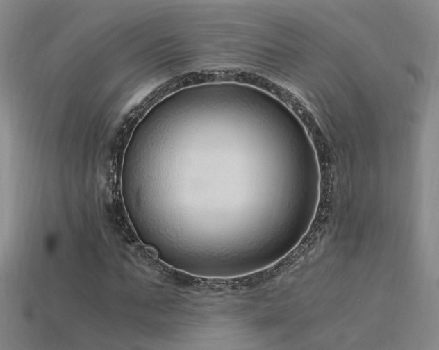 X0000115820871200911131442