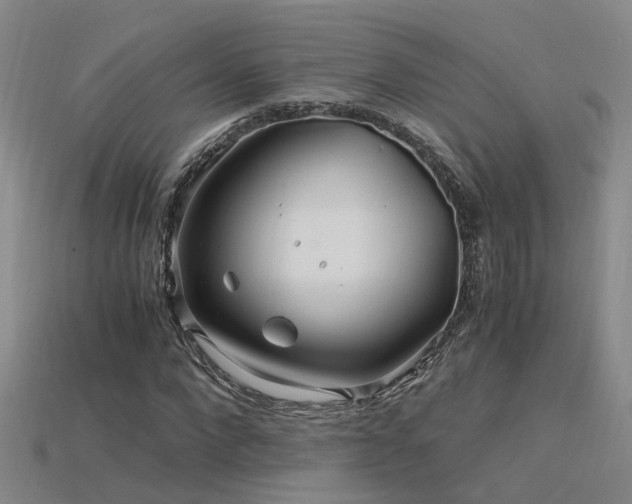 X0000115820872200911131442