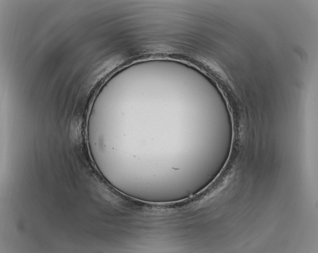 X0000115820873200911131442