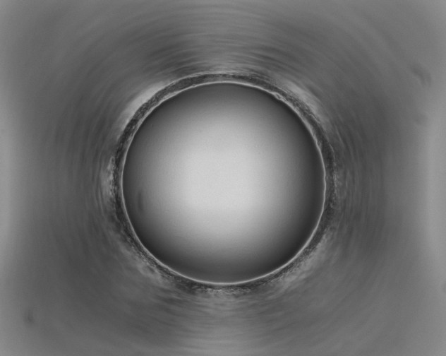 X0000115820875200911131442