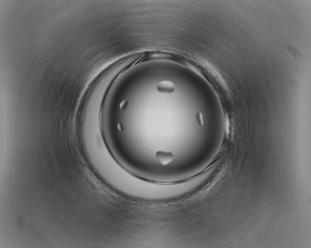 X0000115820876200911131442