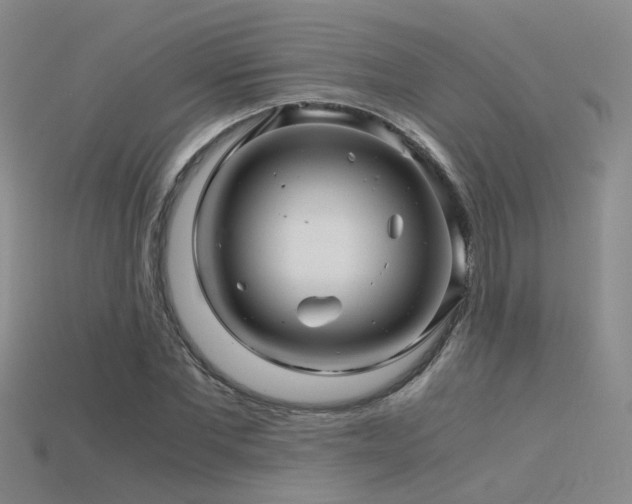 X0000115820877200911131442