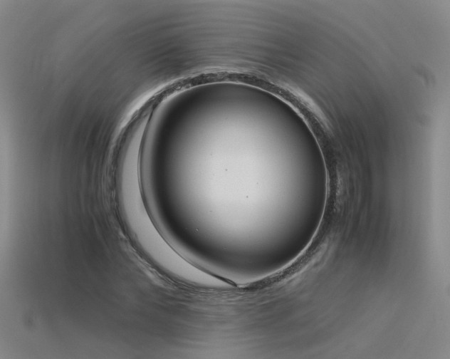 X0000115820878200911131442