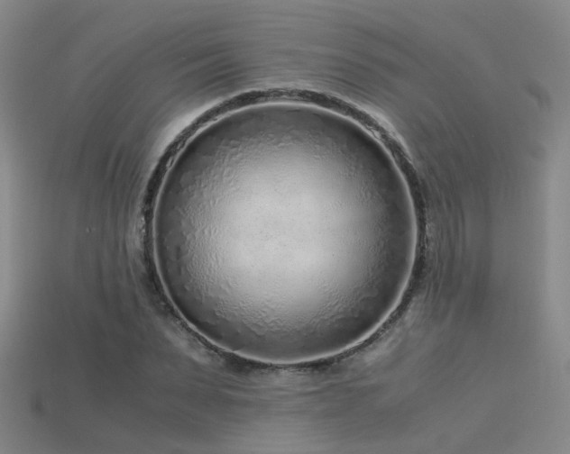 X0000115820879200911131442