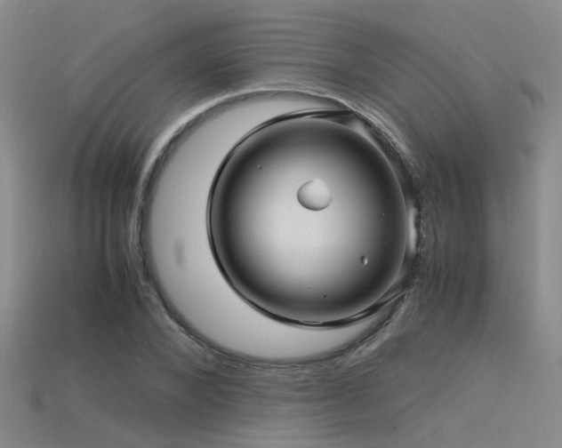 X0000115820880200911131442