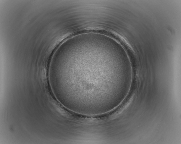 X0000115820881200911131442