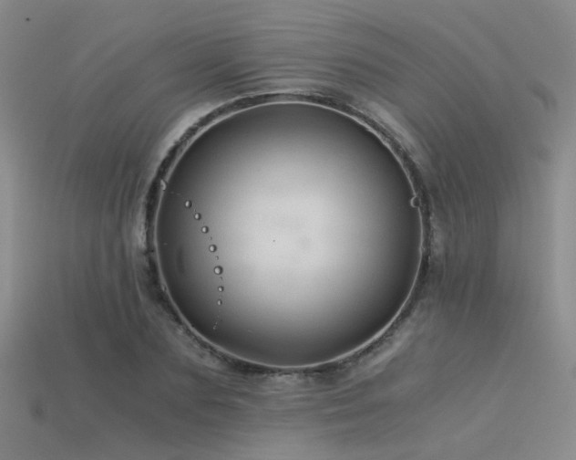 X0000115820883200911131442