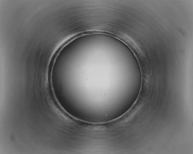 X0000115820884200911131442