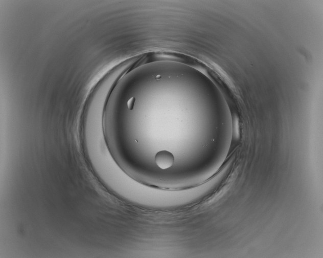 X0000115820885200911131442