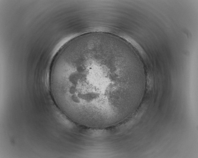 X0000115820886200911131442