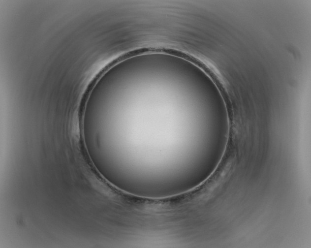 X0000115820887200911131442