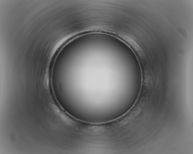 X0000115820888200911131442