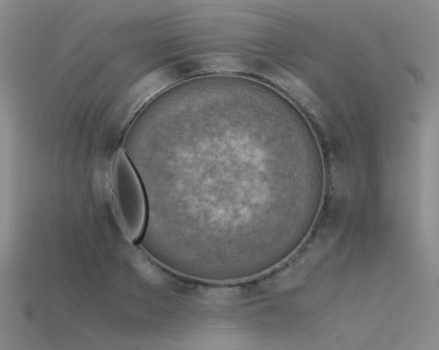 X0000115820889200911131442