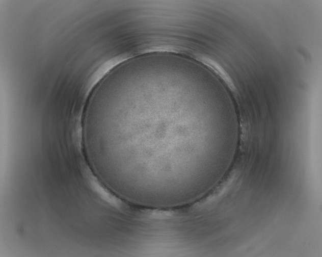 X0000115820890200911131442