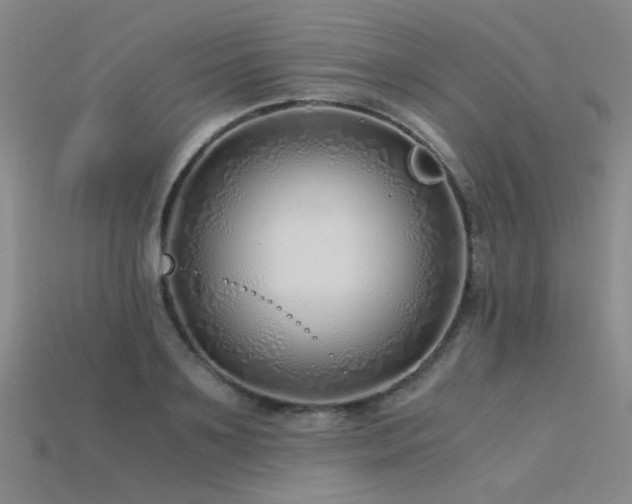 X0000115820891200911131442