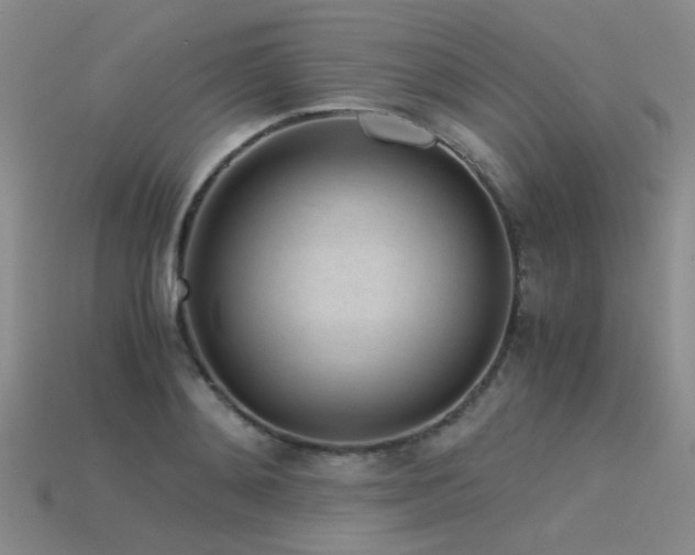 X0000115820892200911131442