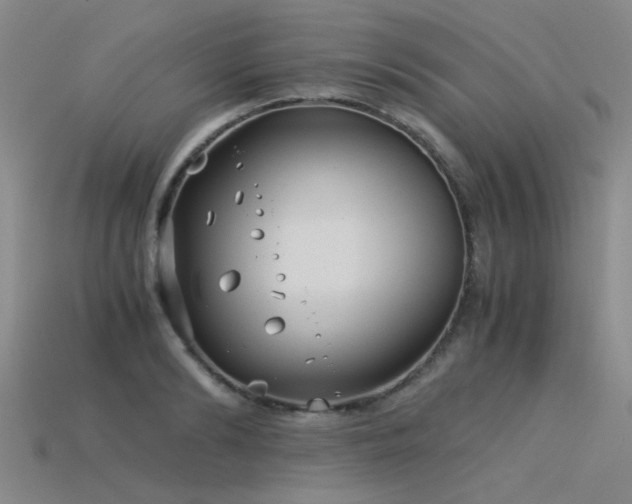 X0000115820894200911131442