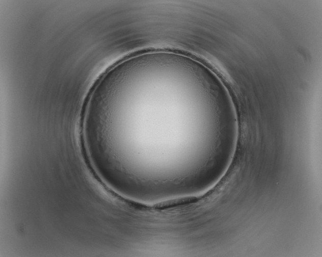 X0000115820895200911131442