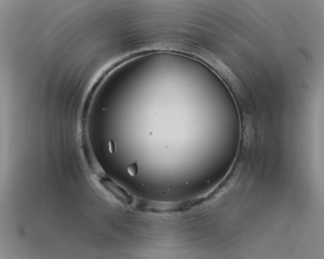 X0000115820896200911131442