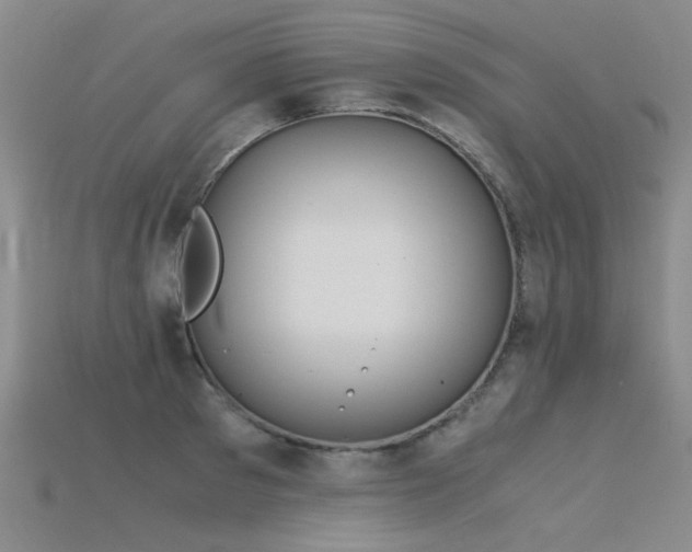 X0000115820897200911131442