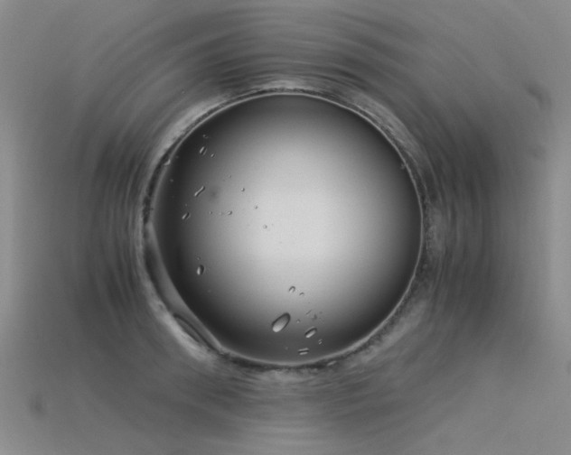 X0000115820898200911131442