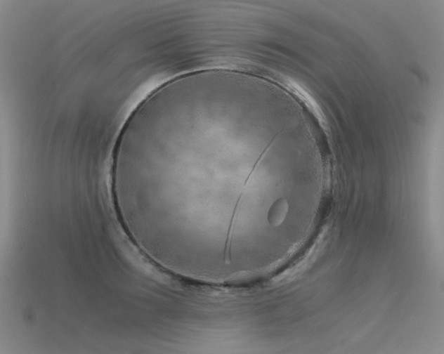 X0000115820899200911131442