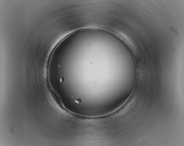 X0000115820900200911131442