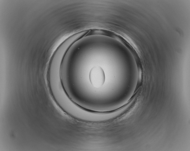 X0000115820901200911131442