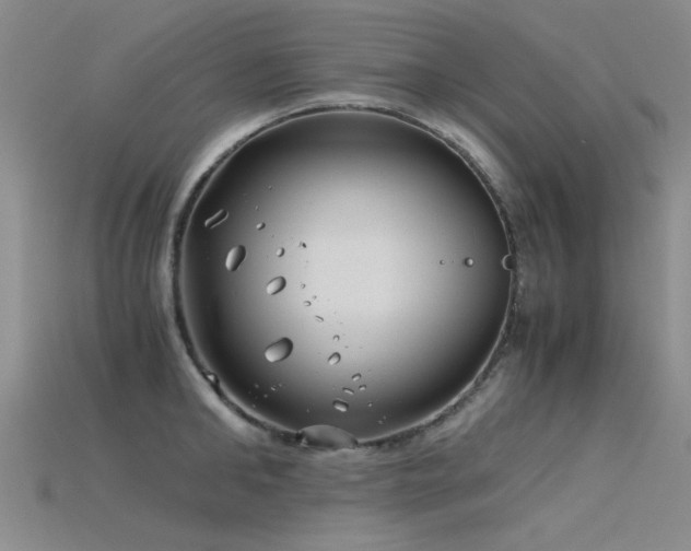 X0000115820902200911131442