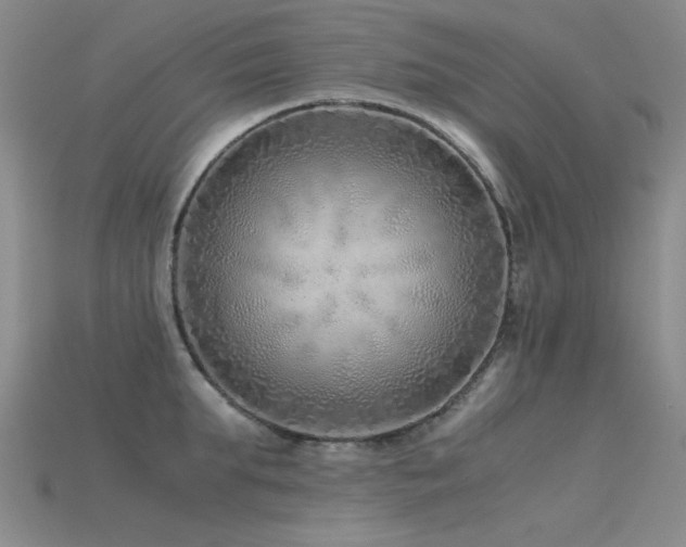 X0000115820903200911131442