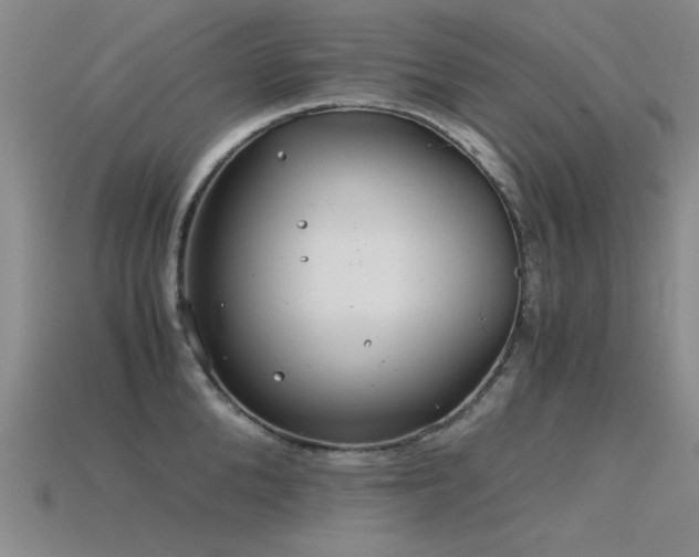 X0000115820904200911131442