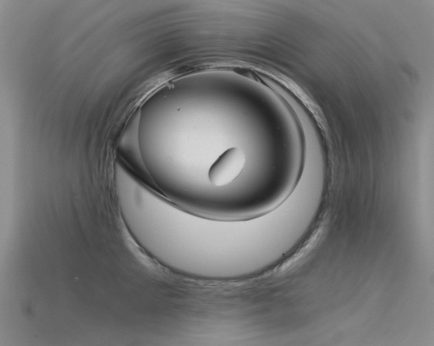 X0000115820905200911131442