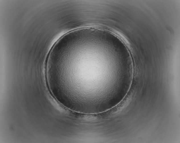 X0000115820907200911131442