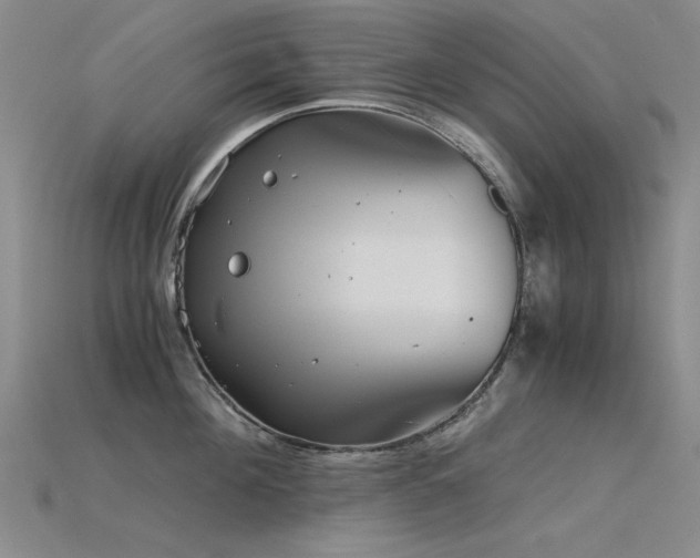 X0000115820908200911131442