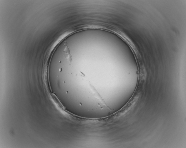 X0000115820909200911131442