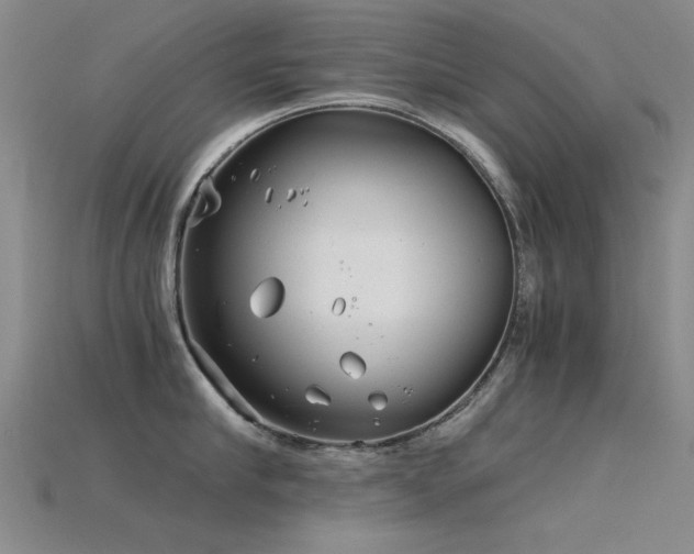 X0000115820910200911131442