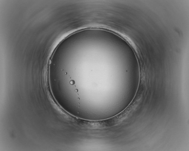 X0000115820911200911131442