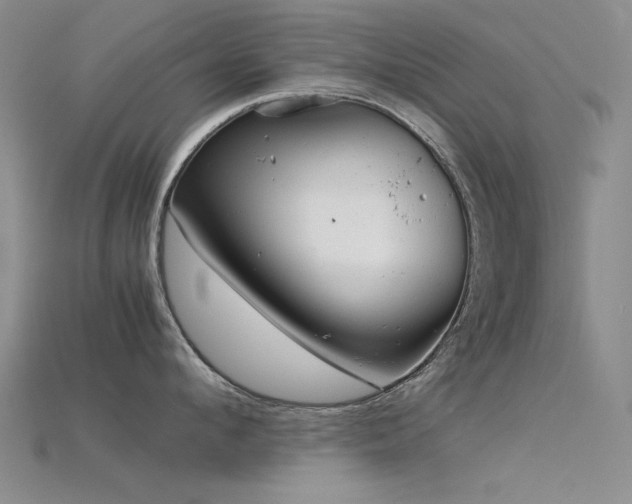 X0000115820912200911131442