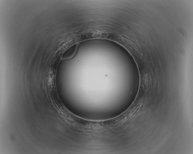 X0000115820914200911131441