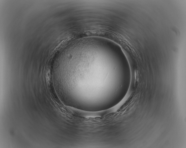 X0000115820915200911131441