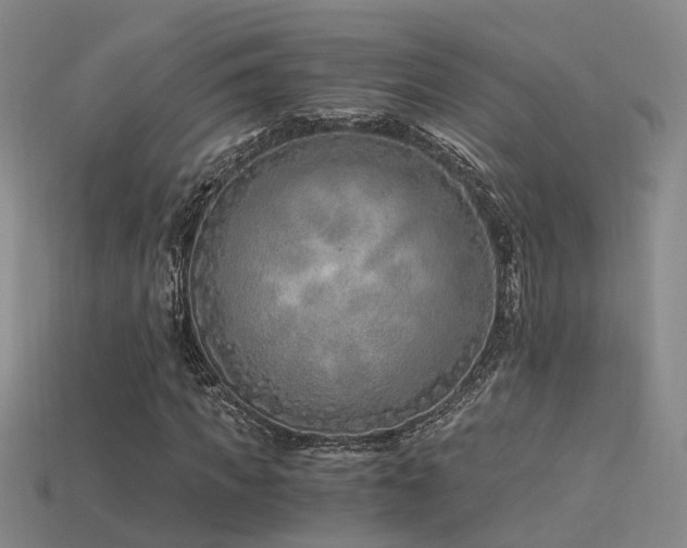 X0000115820917200911131441