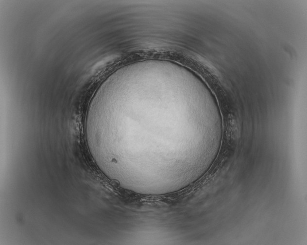 X0000115820918200911131441