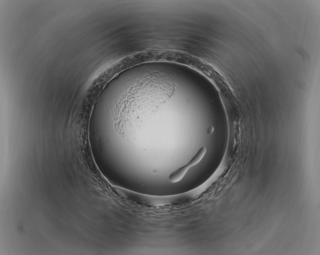 X0000115820919200911131441