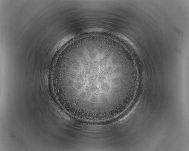 X0000115820921200911131441